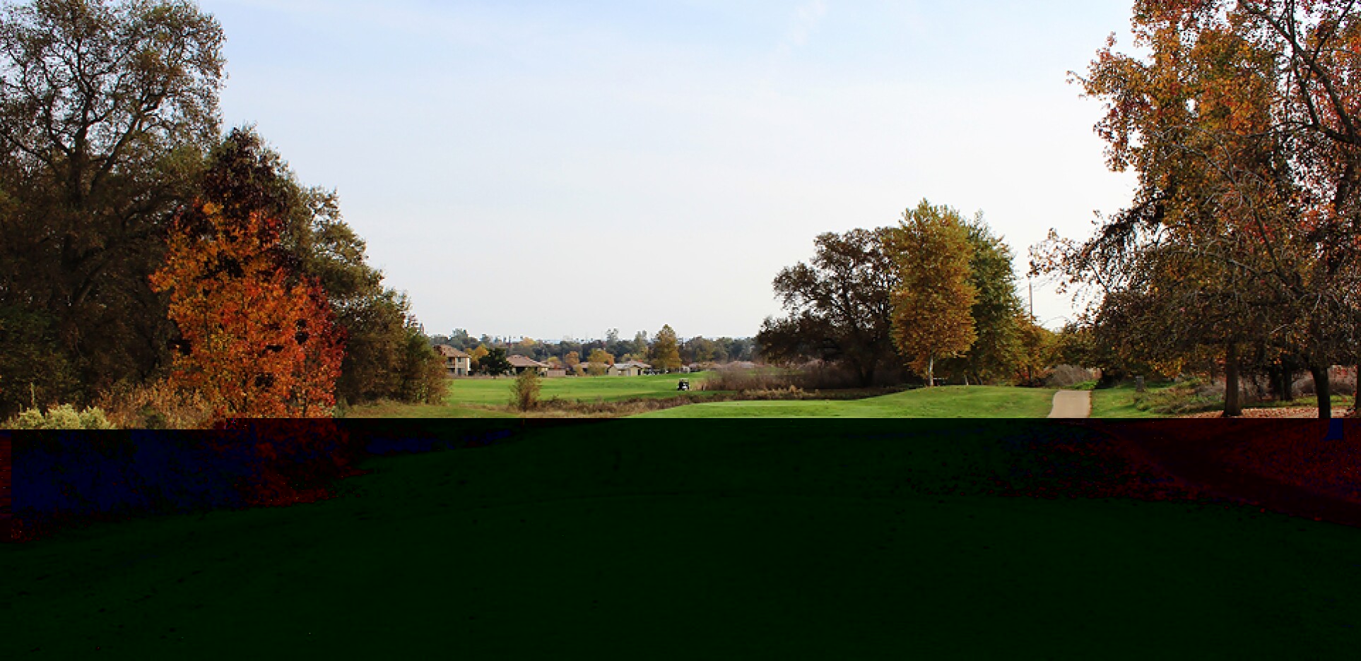 Castle Oaks Golf Club fall oak tree